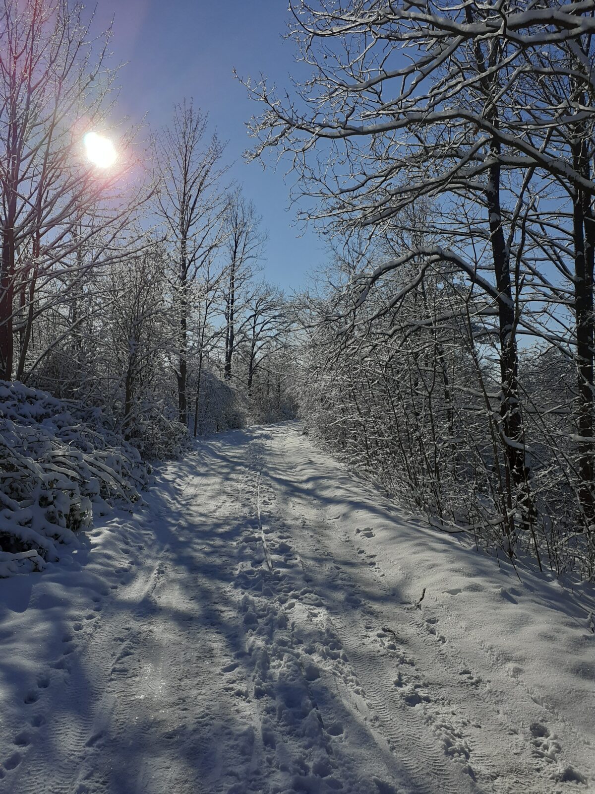 Spuren im Schnee