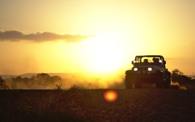 „Spuren im Sand“
