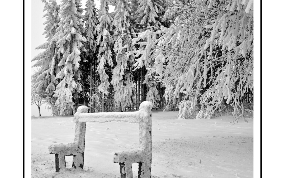Spaziergang im Schnee