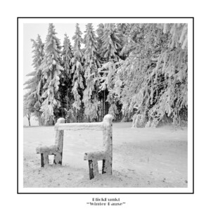 Spaziergang im Schnee