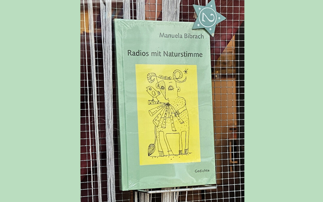 Gedichte von Manuela Bibrach – Shit Box – I und II