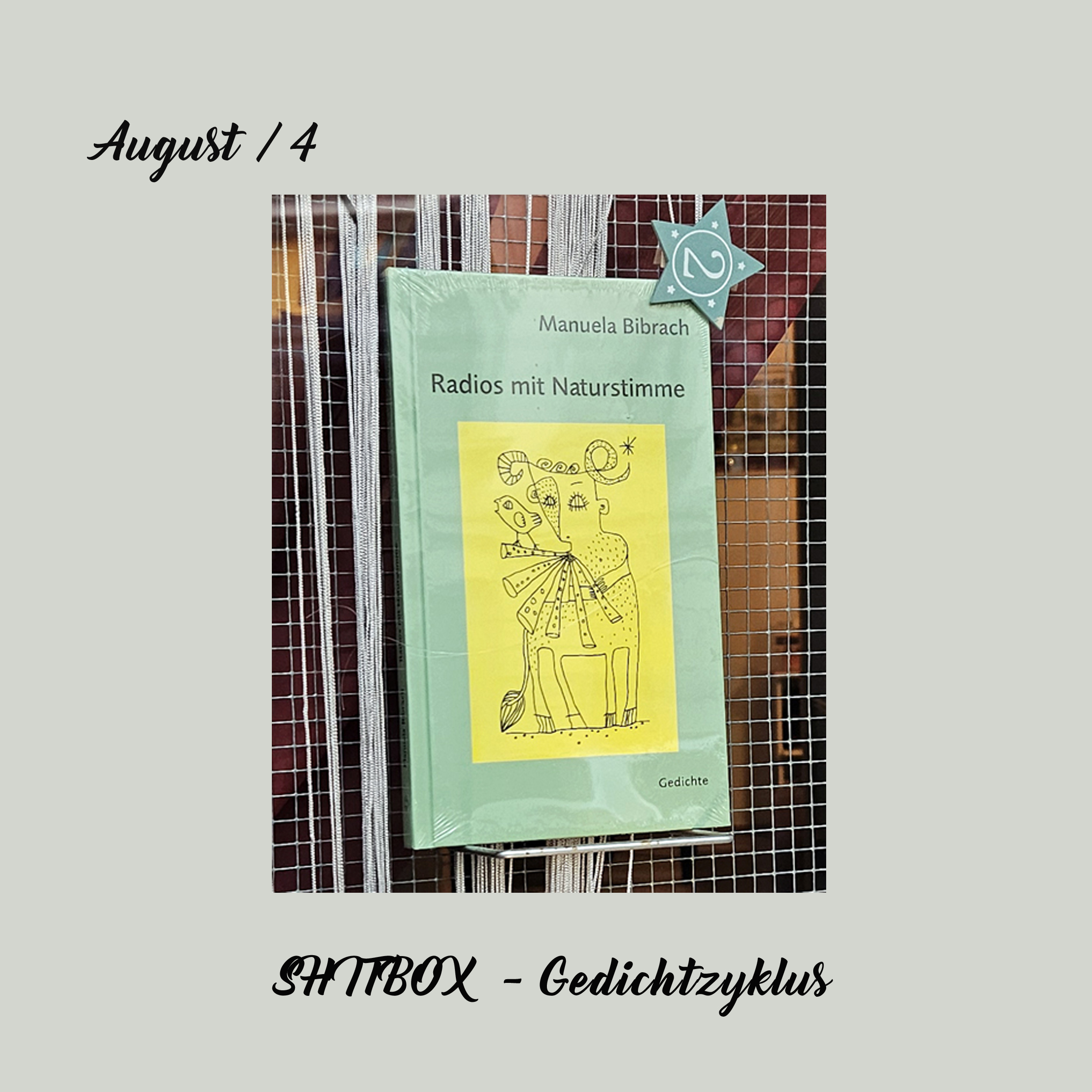 Gedichte von Manuela Bibrach – Shit Box – VII und VIII