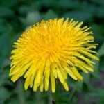 Profilbild von Test Künstler